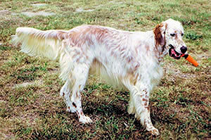 Young Beau with the hose nozzle