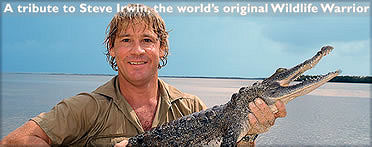 Steve Irwin, the original Wildlife Warrior