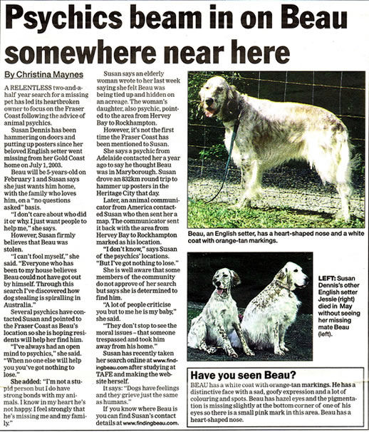 Fraser Coast Chronicle, psychic reading, Finding Beau, Stolen Dog