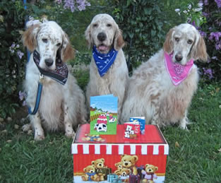 English Setters, Hammer, Hobson, Rose