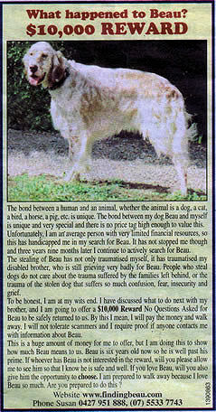Beau, stolen dog advertisement, Queensland Country Life