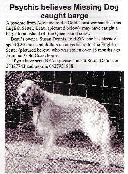 Straddie Island News, psychic reading, Finding Beau, Stolen Dog
