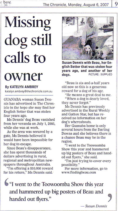 The Chronicle, Toowoomba, missing dog Beau still calls to owner, Finding Beau, stolen English Setter